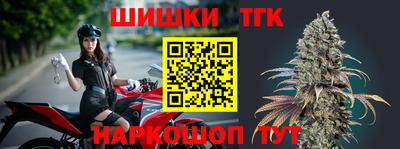 индика Тула