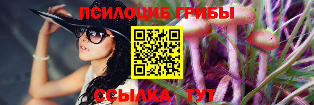 Галлюциногенные грибы MAGIC MUSHROOMS  Вход с VPN  Галлюциногенные грибы мухоморы  Черемхово 